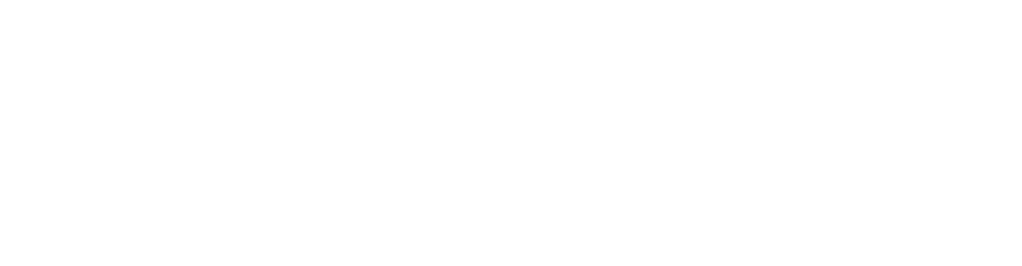 Microsoft Solutions Partner Logo